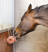 Indusclassic Himalayan Animal Licking Pink Salt lick Horse Cattles Pure with Minerals (6 LB)