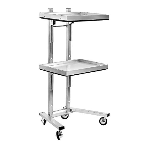 Kaleurrier Rolling Tool Trolley Cart with Double Storage Tray,Stainless Steel Utility Instrument Tray Stand with Wheels for Beauty Hair Salon Tattoo Spa Clinic Medical Studio Home (Color:Silver)