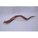 SHOFAR 36-38
