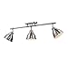 Golden Lighting Duncan Semi-Flush - Track Light Pewter with Pewter Shades