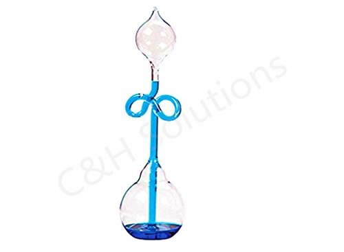 Westminster Hand Boilers (blue)