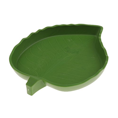 image for Homyl Shallow Reptile Amphibians Food and Water Dish Small Pets Corner