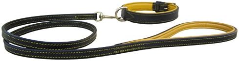 Safex Leather Dog Collar and Leash Set (Black with Yellow Padding, Medium)