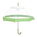 Rainbrace Transparent Bubble Umbrella Auto Open, Fashion Dome Shape with Color Trim (Green)