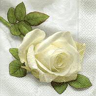 Servietten zur Hochzeit - Weiße Rose - Großpackung: 100 Stück - 33cmx33cm - Tischservietten/Hochzeitsservietten/Dekoserviette