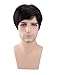 Kalyss Men's Short Black Brown Synthetic Hair Wig