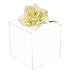 Acrylic Display Case – Versatile Small Rectangle Clear Acrylic Boxes for Display with Black Base – Display Case for Collectibles, Action Figures, Models – 4
