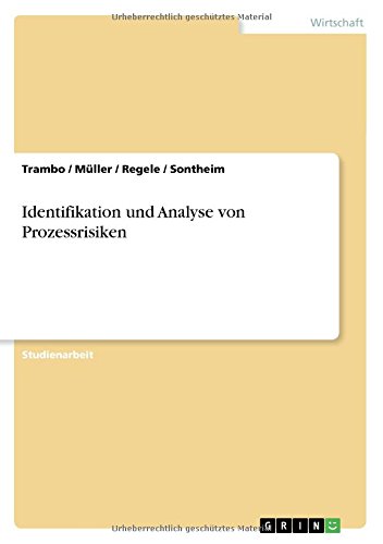 Identifikation und Analyse von Prozessrisiken (German Edition)