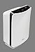 Winix FresHome Model P300 True HEPA Air Cleaner with PlasmaWave