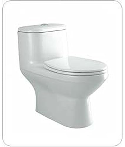 Parryware Sofia C841d Ceramic Closet White Two Pieces Amazon In