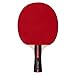 Ping Pong Paddle Set of 4 - Pro Wood Ping-Pong Paddles and 8 Light Regulation Table Tennis Balls - This 4-Player Racket and Ball Kit is the Perfect Indoor Sports Game Gift for Kids or Professional