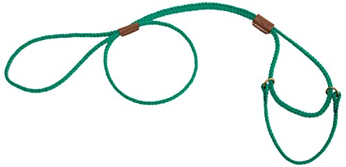 Mendota 10" Martingale Show Lead, Kelly Green, 1/8" by 40"/Medium
