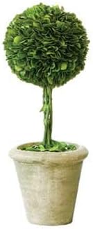 Preserved Boxwood Single Ball Topiary - 16" by Tradingsmith