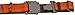 Coastal Pet Products DCP36923COG K9 Explorer 1-Inch Dog Collar, Large, Orange