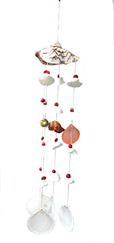WD-Beautiful Seashell Wind chime Nautical Hanging - Noly shell top for room door window 19 inch
