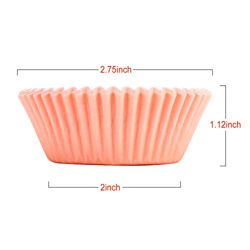 600 pcs Cupcake liners Rainbow Standard Paper Baking Cups Cupcake Liners Muffin Baking Cupcake Mold to Use for Pans or Oven