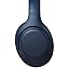 Sony WH-XB900N Wireless Noise Canceling Extra Bass Headphones, Blue (Amazon Exclusive)