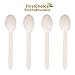 FirstChoice EcoNaturals Disposable Wooden Spoons, 100 Piece, 6
