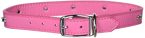 Leather Brothers 1 x 26-Inch Bone Latigo Dog Collar, X-Large, Pink
