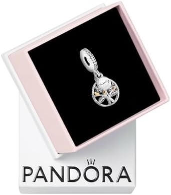 Amazon.com: PANDORA Openable Passport Dangle Charm - Compatible