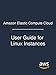 Amazon Elastic Compute Cloud: User Guide for Linux Instances by Amazon Web Services