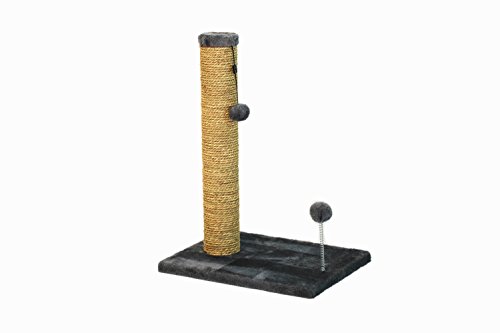 Cat Craft Sea Grass Scratching Post with Spring Toy, 20-Inch