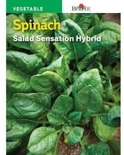 Burpee 51529 Spinach Salad Sensation Hybrid Seed Packet