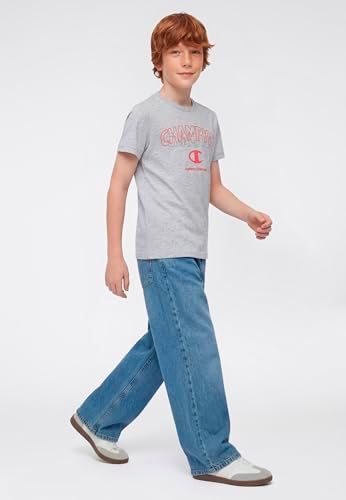 Boy Crewneck T-Shirt with Graphic Logo Camisa, Gris (Em021), XS para Niños