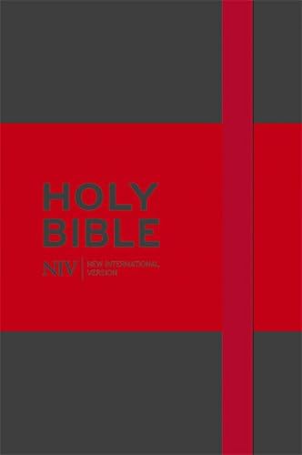 The Holy Bible: New International Version. (Grey)
