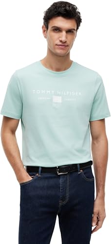 Uomo T-Shirt Maniche Corte Brand Love Mono Stack in Cotone, Verde (Crushed Mint), M