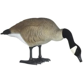 Amazon.com : Big Foot Full Body Goose Decoys - Feeders : Hunting Decoys