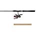 Penn Fierce II Spinning Fishing Reel & Rod Combo