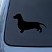 DACHSHUND SMOOTH SILHOUETTE - Dog - Decal Sticker #1504 | Vinyl Color: Black