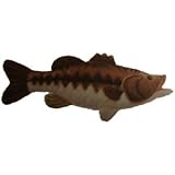 Largemouth Bass Fish 10