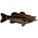 Largemouth Bass Fish 10