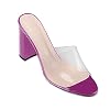 Eldof-Womens-High-Heel-Sandals4-inches-Block-Heel-with-Transparent-PVC-SandalsComfort-Backless-Party-Dress-Slippers
