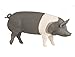 Safari Ltd. Hampshire Pig Figurine - Detailed 4.25
