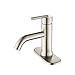 HOMELODY Single Handle Bathroom Faucet with 1 or 3 Holes, for Single Hole Vanity, RV, Lavatory Bathroom Sink Faucet Brushed Nickel Stainless Steel, with Deck Plate and Supply Lines