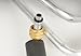 GM Genuine Parts 15-32460 Air Conditioning Compressor and Condenser Hose