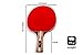 Ping Pong Paddle Set - 2 Table Tennis Racket Set with 3 Balls and Travel Case - Endorsed by Celebrity Player: Best Paddles to Improve Your Game, for Intermediate Level Players