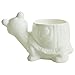 GeLive Tortoise Succulent Planter Turtle Plant Pot Animal Fun Vase Window Box Cute Home Decoration, 5 Inch, Indoor Outdoor