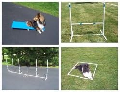 Agility Gear Starter Package with Tippy Board &amp; Fixed Weave Poles