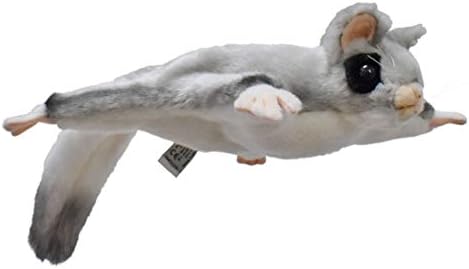 aggressive dog behavior training