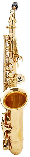 Roy Benson RBAS302 Eb Professional Alto Saxophone