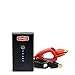 Weego 22s Jump Starter 1700 Peak 300 Cranking Amps Simple and Safe Lithium Ion  Water Resistant USA Designed and Engineered