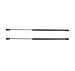 A-Premium Rear Window Lift Supports Shock Struts Replacement for Nissan Pathfinder 1999-2004 Infiniti QX4 1999-2003 From 12/1998 2-PC Set