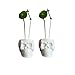 WISH HALLY WOOD Skull White Ceramic Succulent Planter Pots,Skull Pen Holder, Skull Makeup Brush Holder, Pen Holder, Set of 2 inch Tiny Flower Plant Containers (Skull)
