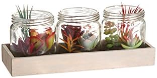Allstate Artificial Mixed Succulent Plants in on Wooden Display Tray, Set of 3, 9.25", Green