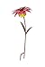 Desert Steel 409-002 721019631213 Bishop Dahlia-Metal Flower Garden Torch-36 Inches Tal, 36 x 14 x 14