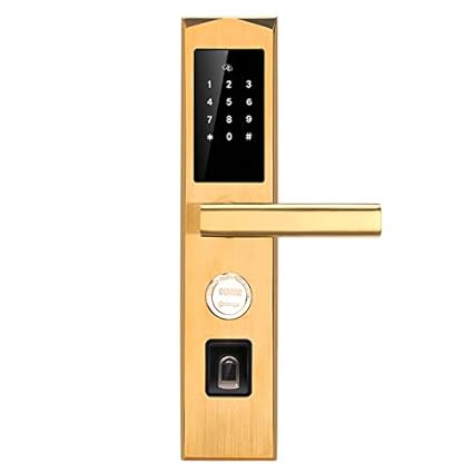  Gaopin Smart Lock Wifi App Biometric
